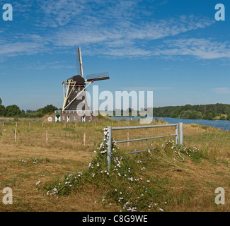 Netherlands, Europe, Holland, Limburg, Beesel, Grey Bear, windmill, field, meadow, summer, Stock Photo