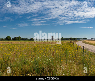 Netherlands, Europe, Holland, Limburg, Beesel, Grey Bear, windmill, field, meadow, flowers, summer, Stock Photo