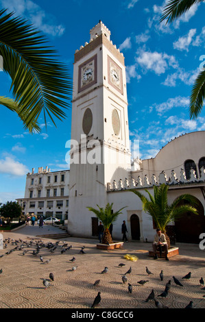 Djamaa El Djedid (Mosque of the Fisherman) on Place Port Said, Algiers, Algeria, North Africa Stock Photo