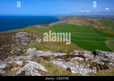 View north of old field system from Carn Llidi, St. Davids, Pembrokeshire National Park, Wales, United Kingdom Stock Photo