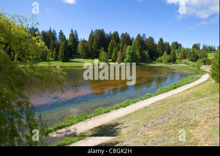 Switzerland, Europe, cloud, clouds, summers, wood, forest, tree, lake, panorama, scenery, Valais, Crans Montana, Crans, Montana, Stock Photo