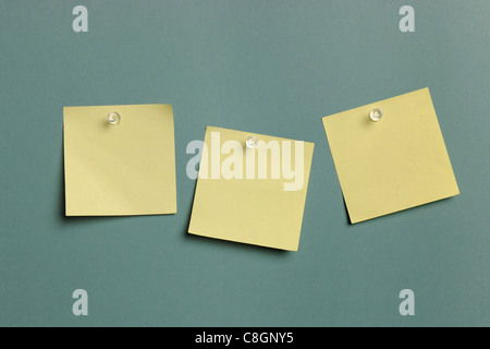Sticky Notes isolated on a green background Stock Photo