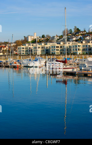 Staad, Switzerland, Europe, canton St. Gallen, lake of Constance Stock ...