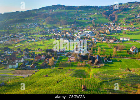 Switzerland Thal village canton St. Gallen church village scenery Stock ...