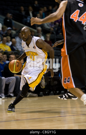 London Ontario, Canada - October 23, 2011. DeAnthony Bowden (0) of the London Lightning carries the ball up the court in a National Basketball League of Canada game against the Oshawa Power. London won the game 111-83. Stock Photo