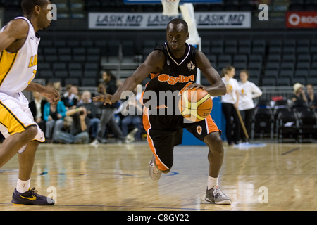 London Ontario, Canada - October 23, 2011. Tut Ruach of the Oshawa Power carries the ball up the court in a National Basketball League of Canada game against the London Lightning. London won the game 111-83. Stock Photo