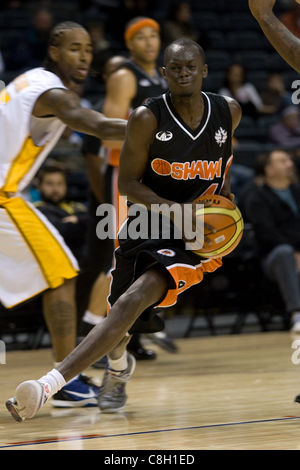 London Ontario, Canada - October 23, 2011. Tut Ruach of the Oshawa Power splits the defence in a preseason game against the London Lightning. London won the game 111-83. Stock Photo