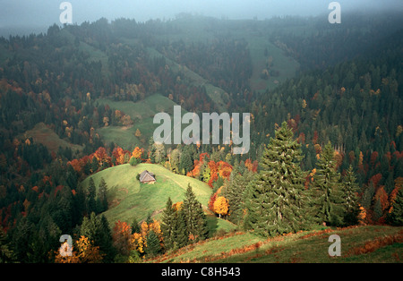 Lüderenalp, Harzer, Switzerland, canton Bern, Emmental, Napf, Pre Alps, alp, foothills, countryside, landscape, fir forest, mixe Stock Photo