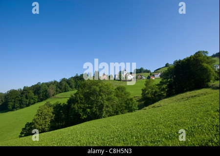 Switzerland, Europe, Appenzell, meadow, mountains, house, home, scenery, field, fields, agriculture, Eastern Switzerland, summer Stock Photo