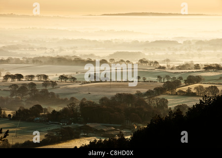 View from Beacon Hill, near South Harting, West Sussex in the early morning with mist and frost Stock Photo