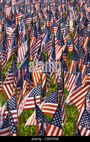 Thousands of American Flags to Honor American Soldiers who Served in Iraq and Afghanistan in Bethlehem, Indiana Stock Photo