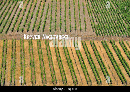 Germany, Europe, great position, Kröv, Kröver, Moselle, Nacktarsch, wine, cultivation, wine cultivation, wine region, wine-growi Stock Photo