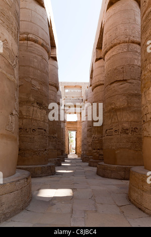 Relief work on columns in the Hypostyle Hall at Karnak Temple, Luxor Egypt Stock Photo