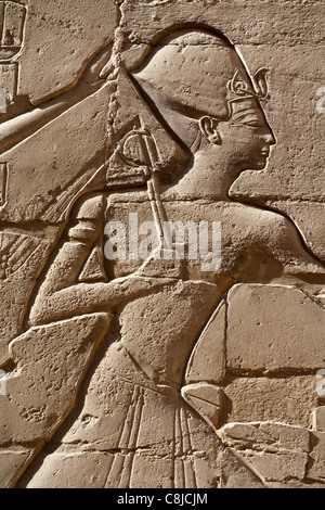 Relief work showing the King Seti receiving the Panegyrics in Hypostyle Hall at Karnak Temple, Luxor Egypt Stock Photo