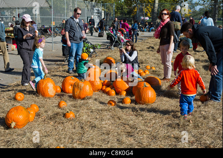Visitors enjoy the pumpkin patch at the Red Hook Community Farm in Brooklyn in New York Stock Photo