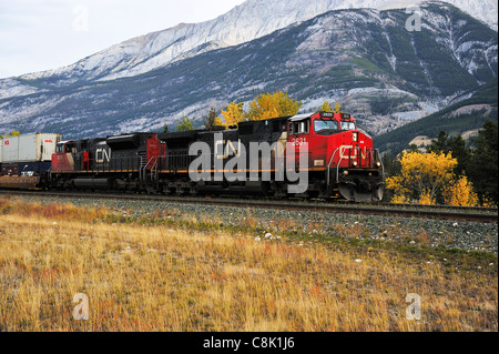 A Canadian National freight train Stock Photo