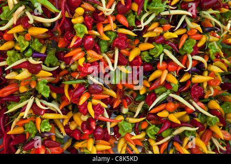 Chilli peppers on market stall Stock Photo