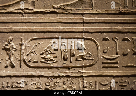 Detail of relief work showing  cartouche of Ptolemy at the Temple of Horus, Edfu Upper Egypt Stock Photo