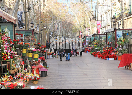 Christmas on Rambla de les Flors on Las Ramblas in Barcelona, in Catalonia, Spain, Europe Stock Photo