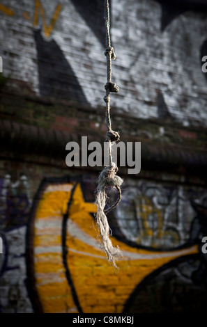 Knotted rope swing hanging from tree with graffiti painted wall in background. Stock Photo