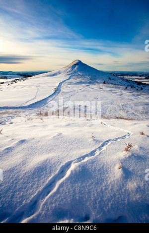 Roseberry Topping from Little Roseberry in Winter Snow, North Yorkshire Stock Photo