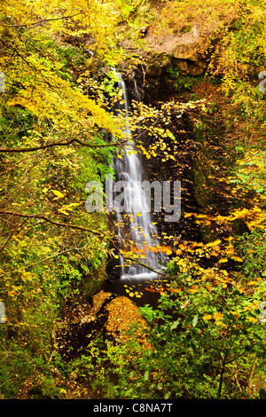 Falling Foss waterfall in Autumn, near Whitby, North Yorkshire Stock Photo