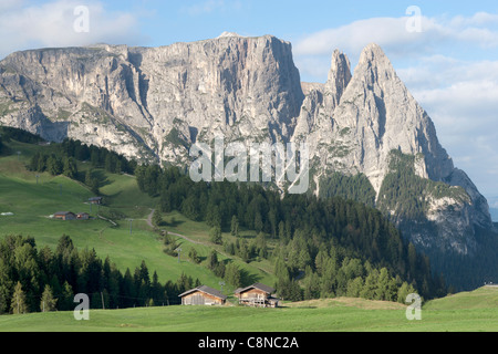 Italy Trentino-Alto Adige Alpe di Siusi (Seiseralm) views of mountain landscape around Compatsch with Sciliar peak in background Stock Photo