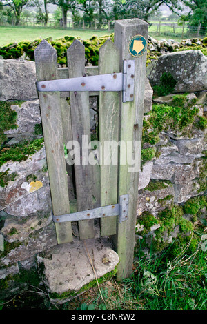 A narrow wooden gate in front of a narrow stone stile in a drystone wall, Cumbria, England