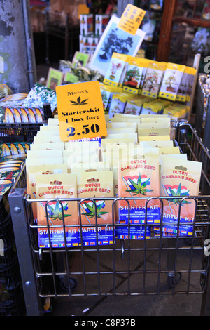 Amsterdam Holland Netherlands Cannabis seeds for sale at the Flower Market Koningsplein Stock Photo