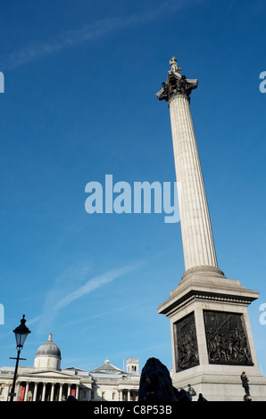 Nelson's Column, Trafalgar Square, London Stock Photo