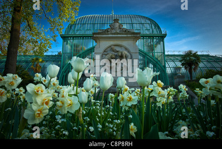The tree and its neighbors Jardin des Serres d'Auteuil, The Big greenhouse of Auteuil greenhouses garden ,Town of Paris Stock Photo
