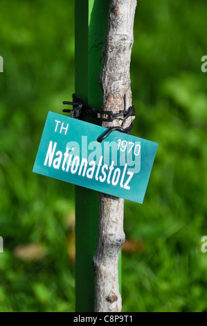 sign displaying 'nationalstolz' meaning 'national pride' around a tree Stock Photo