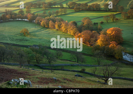 The first rays of sunlight hit the brightly colored autumn foliage of Arncliffe in Littondale, Yorkshire Stock Photo