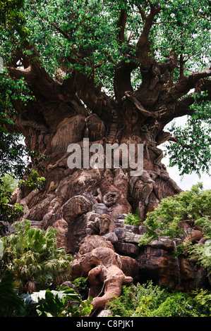 the tree of life in animal kingdom Stock Photo