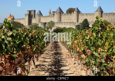 View of the old town Carcassonne from the vineyard. Southern France Stock Photo