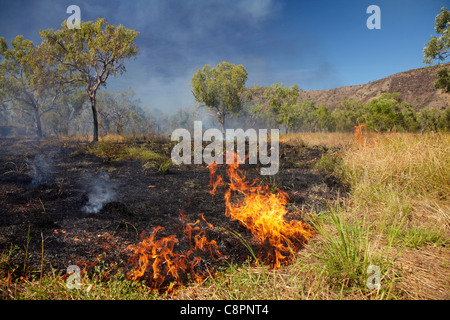 Wildfire, Victoria Highway, near Timber Creek, Northern Territory, Australia Stock Photo