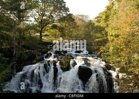 Great Britain, Wales, Swallow Falls near Betws-y-Coed, Snowdonia Stock Photo