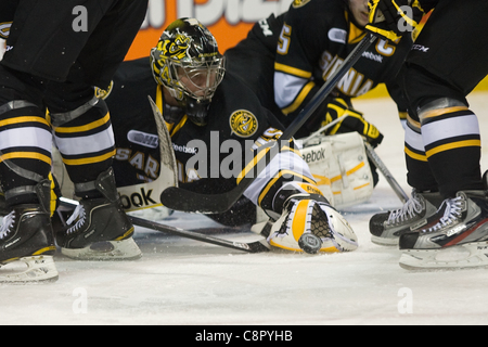 Sarnia sting hi-res stock photography and images - Alamy