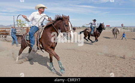 Family and friends team roping on a West Texas Ranch. Stock Photo