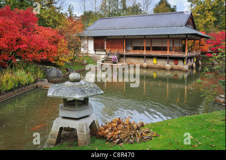 Stone lantern and traditional pavilion / tea house in Japanese garden with tree foliage in red autumn colours, Hasselt, Belgium Stock Photo