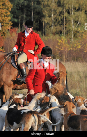 Hunters wearing red coats on horseback with pack of hounds during drag hunting in autumn, Europe Stock Photo