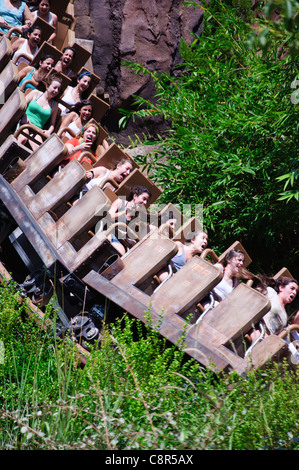 Expedition Everest in the Asia area of Disney's Animal Kingdom theme park is a high-altitude, high-speed, roller coaster train Stock Photo