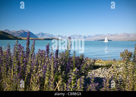 A boat on Lake Tekapo, New Zealand Stock Photo