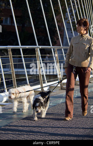 Dog walker on the Zubizuri footbridge Bilbao Spain Stock Photo