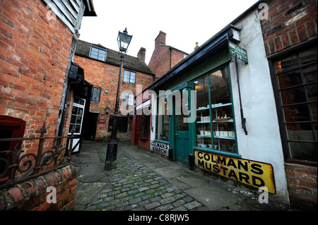 The Shambles Victorian Village in Newent, Gloucestershire - a museum of Victoriana UK 2009 Stock Photo