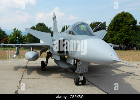 Swedish Air Force Saab JAS-39 Gripen fighter jet on its parking position Stock Photo