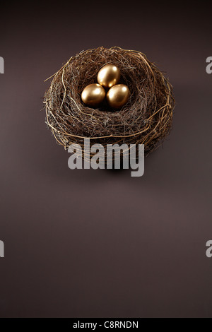 Golden eggs in nest Stock Photo