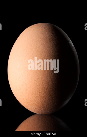 Egg on Black Background Stock Photo