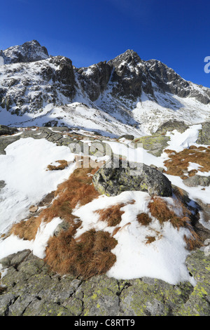 View of the Mala Studena dolina in High Tatras, Slovakia. Stock Photo
