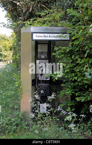 Overgrown bushes around a British Telecom (BT) telephone box on a country lane near Wendover, Buckinghamshire, UK. Stock Photo